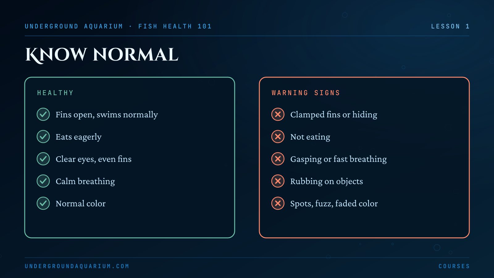 Know what normal looks like