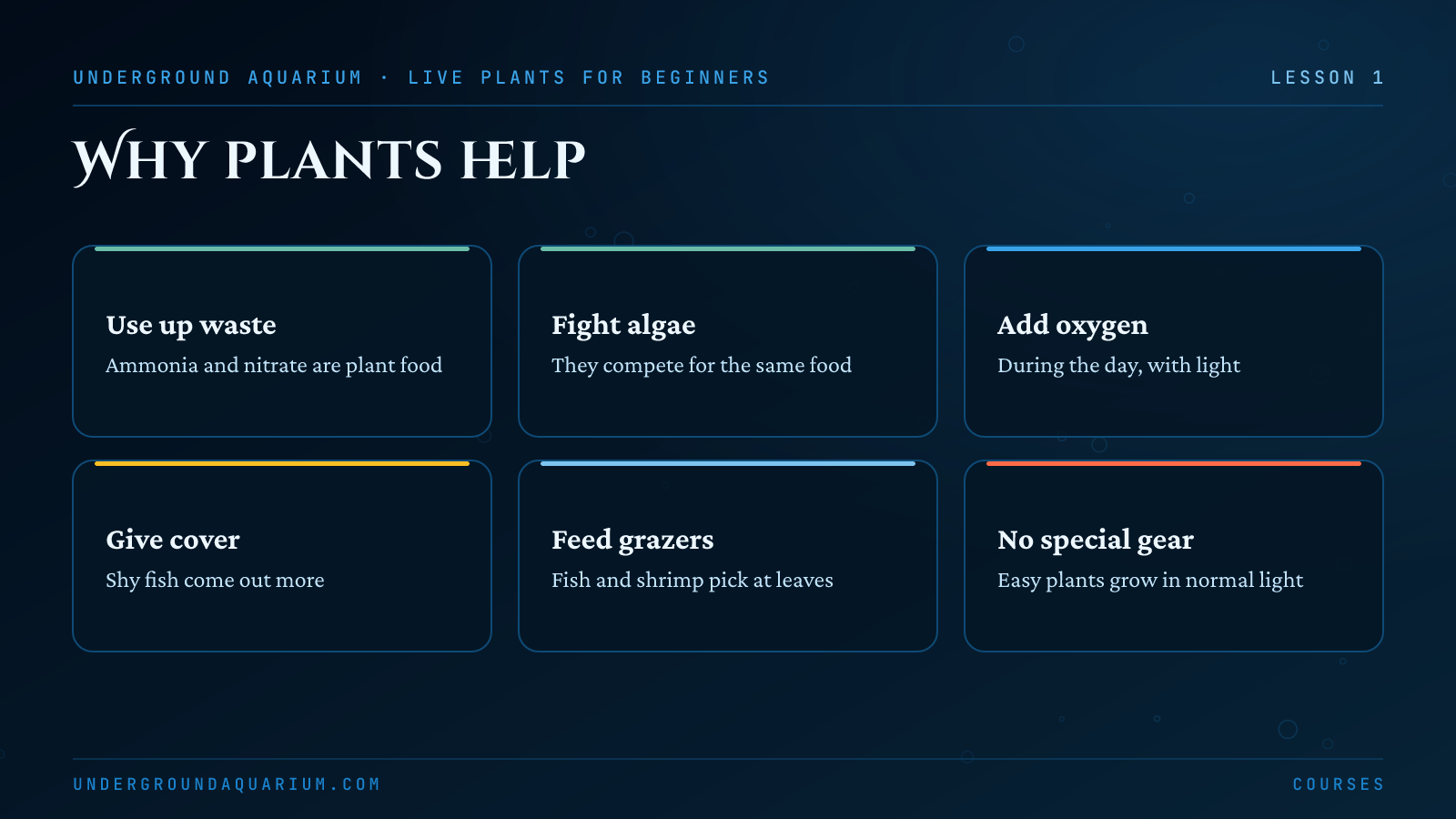 Why live plants help