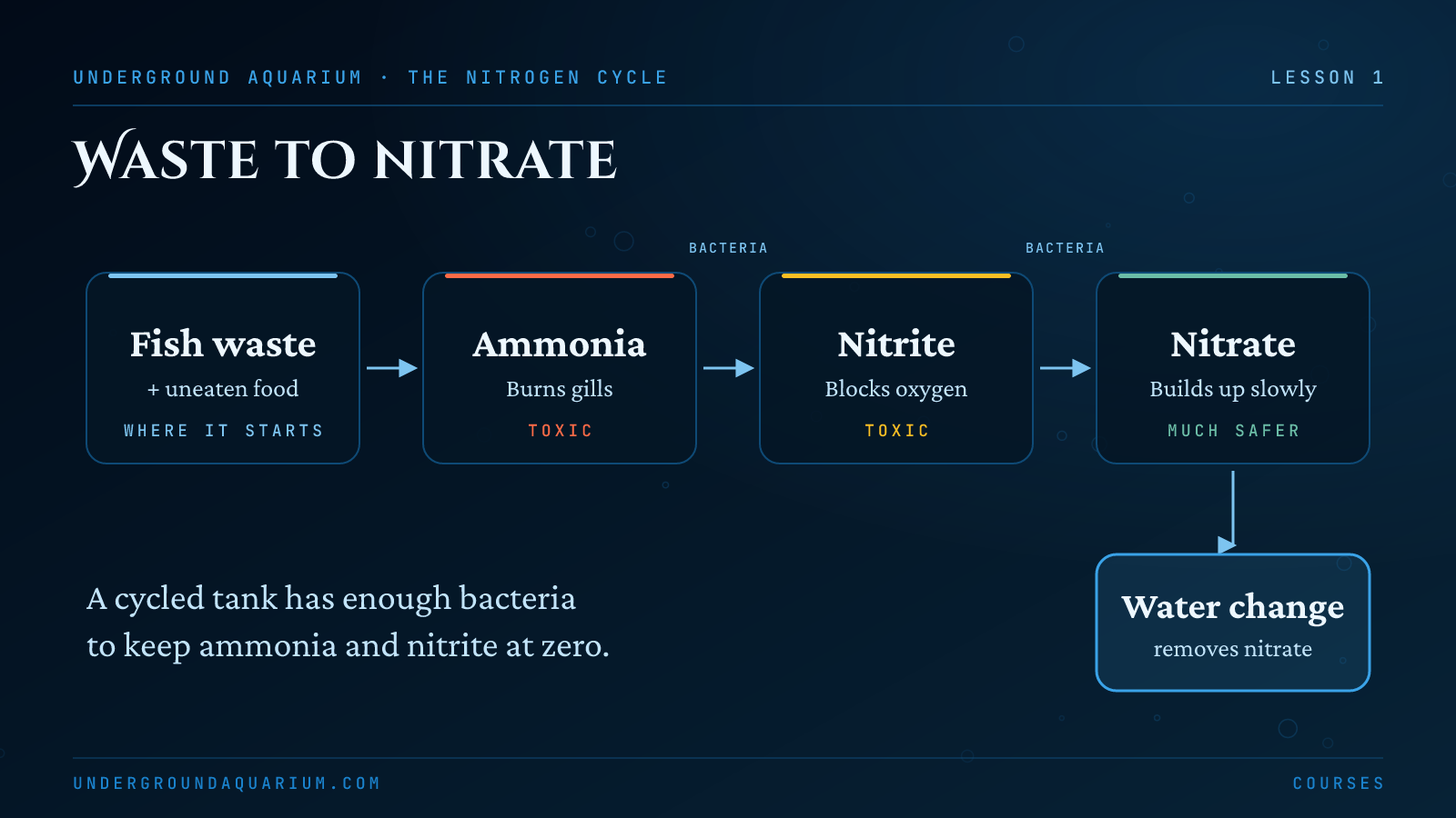 What the nitrogen cycle is