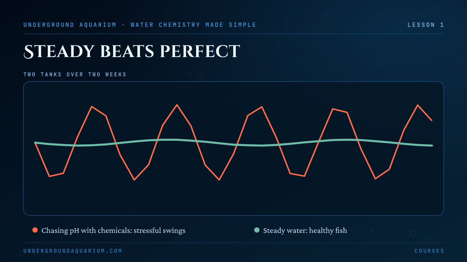 Why steady beats perfect